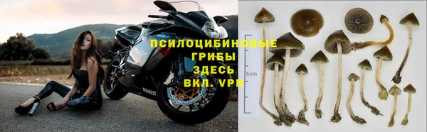 дурь Балабаново
