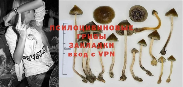 дурь Балабаново
