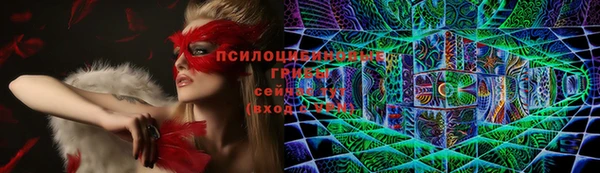 спиды Баксан